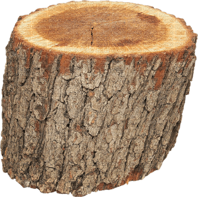 trunk - Free PNG