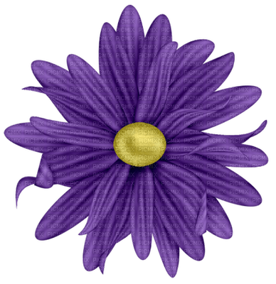 Kaz_Creations Deco Flower Colours - png gratis