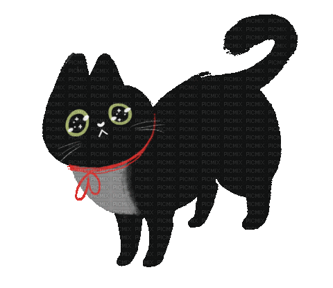Sad Black Cat - GIF animado gratis