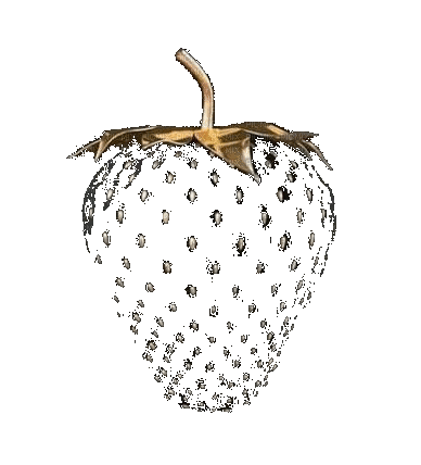 Strawberry Gold Black - Bogusia - GIF animasi gratis