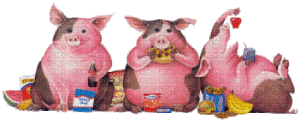 pig schwein porc farm animal animaux fun tube mignon animals - GIF animé gratuit