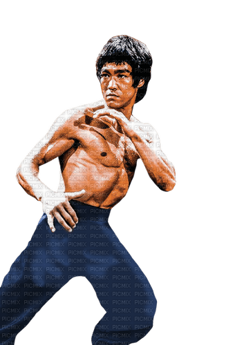 bruce lee - 免费PNG