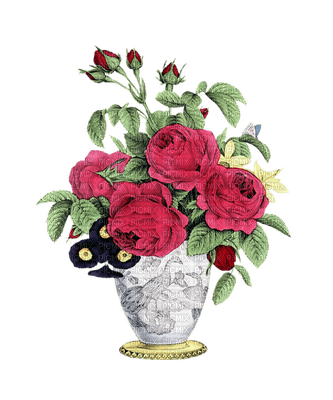 kukka  flower fleur rose - 免费PNG
