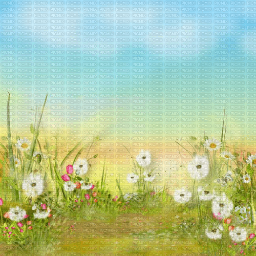 Y.A.M._Summer background - 無料png