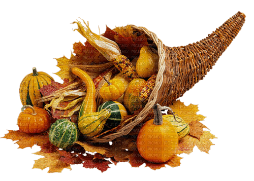 autumn fruits vegatables dubravka4 - ücretsiz png