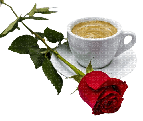 Coffee.Cafe.Red rose.Victoriabea - Free PNG