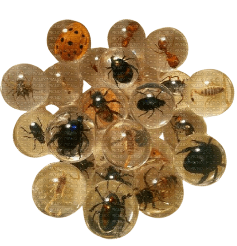 bug balls - 無料png