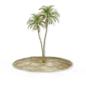 Kathleen Reynolds Beach Summer Trees - nemokama png