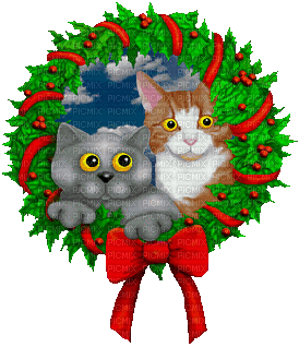 Cat Christmas Wreath - Zdarma animovaný GIF