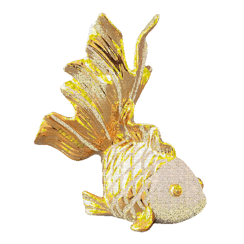 Рыбка золотая - GIF เคลื่อนไหวฟรี
