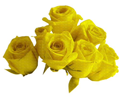 Roses.Yellow - PNG gratuit
