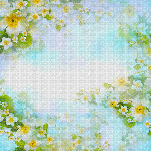 summer background by nataliplus - PNG gratuit