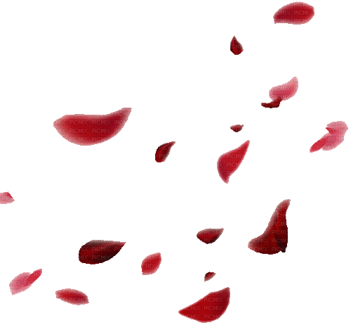 sm3 red roses gif animated flower pedals - Бесплатный анимированный гифка