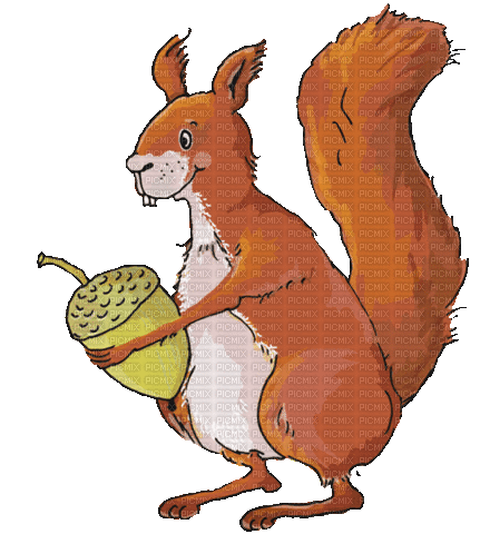 Écureuil.Squirrel.Ardilla.gif.Victoriabea - Zdarma animovaný GIF