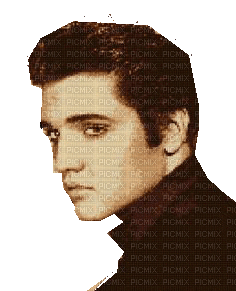 Elvis or Joey? - Besplatni animirani GIF