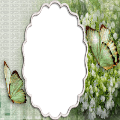 muguet cadre frame lily of the valley - PNG gratuit