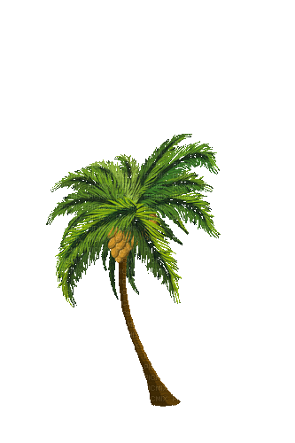 Пальма - Darmowy animowany GIF