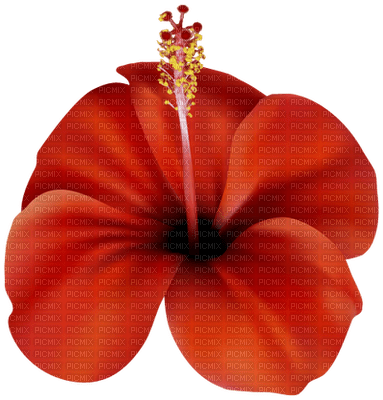 Kaz_Creations Flowers Flower - zdarma png