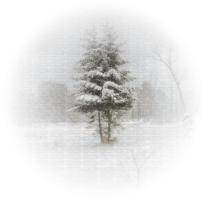 winter anastasia - zdarma png