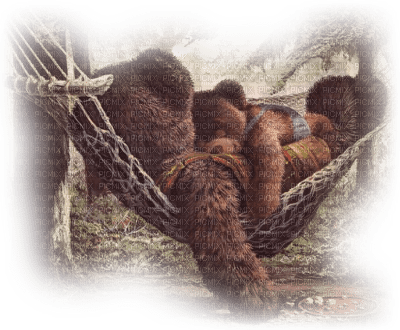 cecily-dessin ours relax - png gratuito