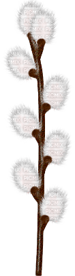 Easter Willow - barka - png gratuito