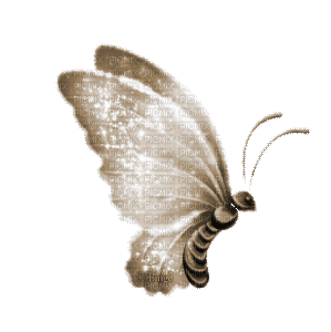 Y.A.M._Fantasy butterfly sepia - Darmowy animowany GIF