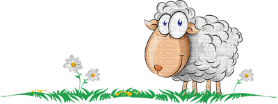 mouton herbe SHEEP GRASS MEADOW - zdarma png