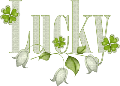 Kaz_Creations Deco  Logo Text Lucky - 無料png