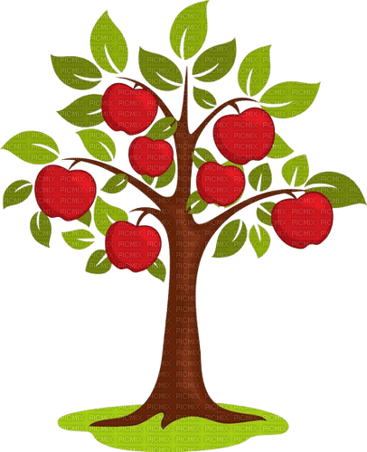 Apples - Free PNG