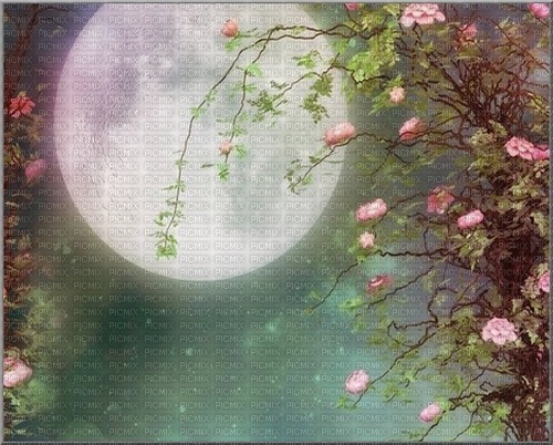 bg-måne-blommor---moon and flowers - png gratuito