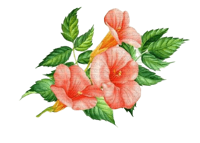 orange spring flowers deco - PNG gratuit