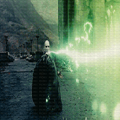 the endgame harry and lord voldemort - GIF animé gratuit