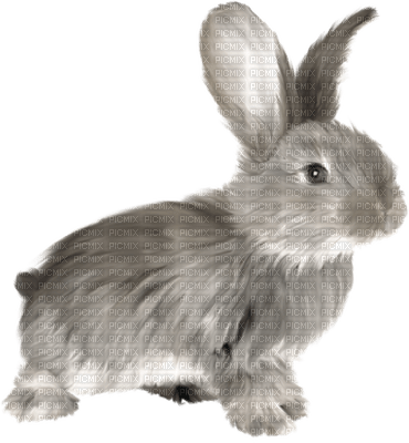 Kaz_Creations Deco Easter Rabbit - 免费PNG