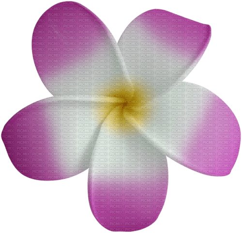 dolceluna summer spring flower - PNG gratuit