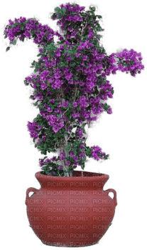 Blumentopf - png gratuito