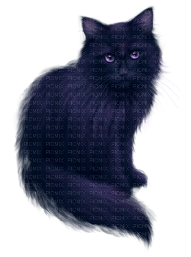 black fantasy cat kikkapink - kostenlos png