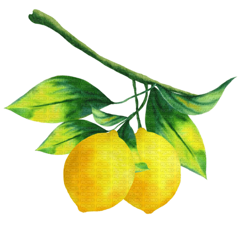 lemons Bb2 - безплатен png