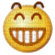 smiley emoji - бесплатно png