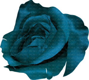 Salomelinda rose bleu ! - PNG gratuit