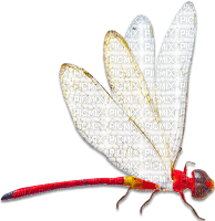 soave deco dragonfly red white - 免费PNG