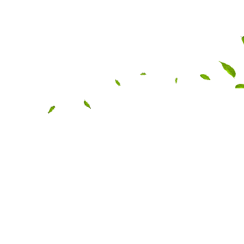 Листья - Zdarma animovaný GIF