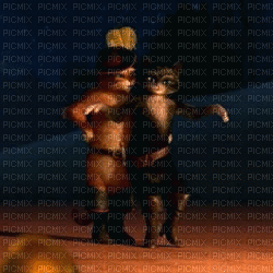 gatocon botas bailando - Ingyenes animált GIF
