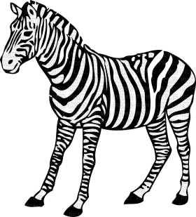 Kaz_Creations Zebra - png grátis