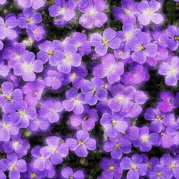 VanessaVallo _crea- flowers animated background - GIF animado gratis
