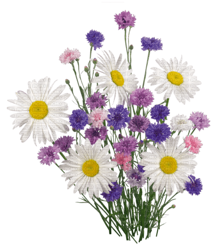 flowers - png gratuito