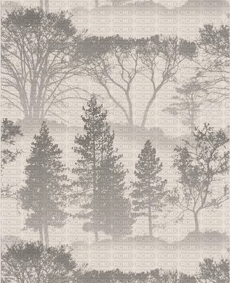 background forest grey black - besplatni png