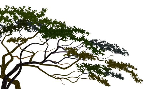 Africa.Arbre.Tree.Árbol.Victoriabea - Free PNG