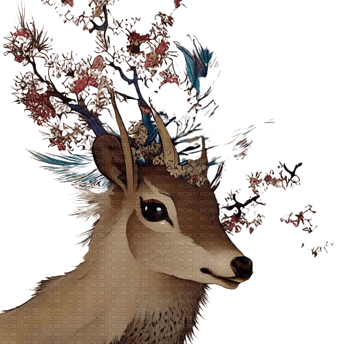 kikkapink deer fantasy flowers - gratis png