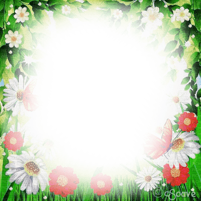 soave frame spring easter flowers white green red - besplatni png