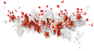 fiore - png grátis